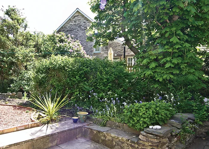 Dol Llan - Hw7569